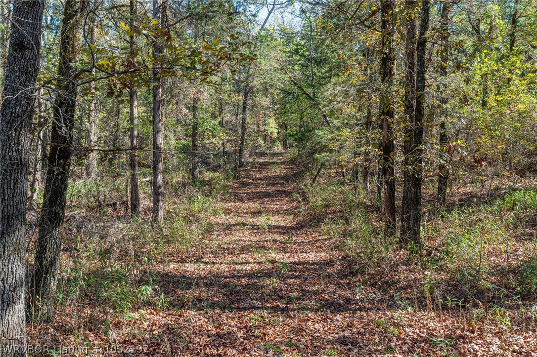 main property photo 36