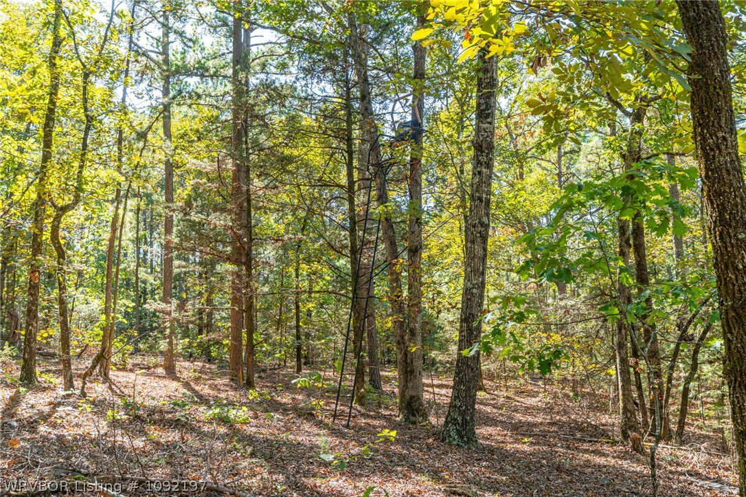 main property photo 39