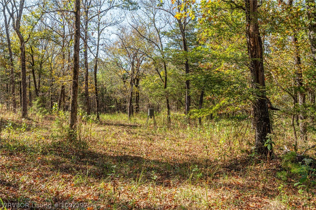 main property photo 41