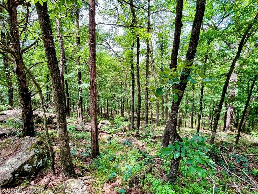main property photo 25