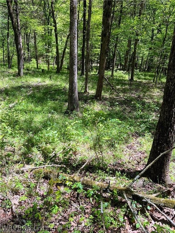main property photo 27