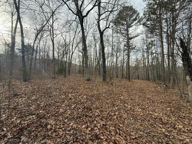 main property photo 28