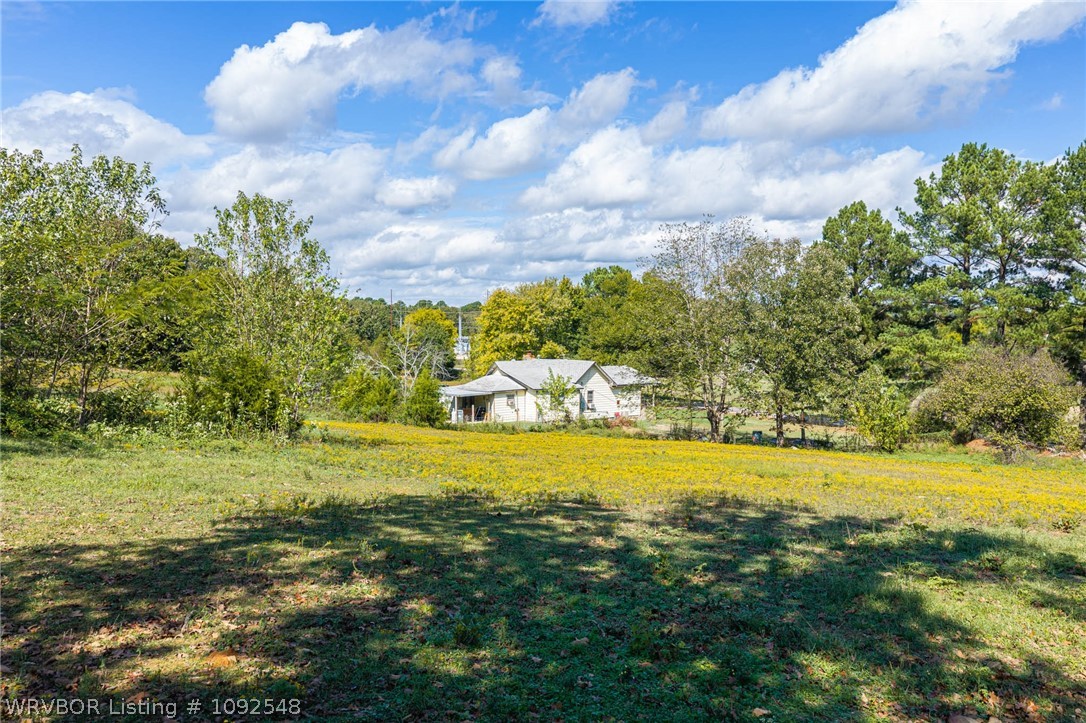 main property photo 42