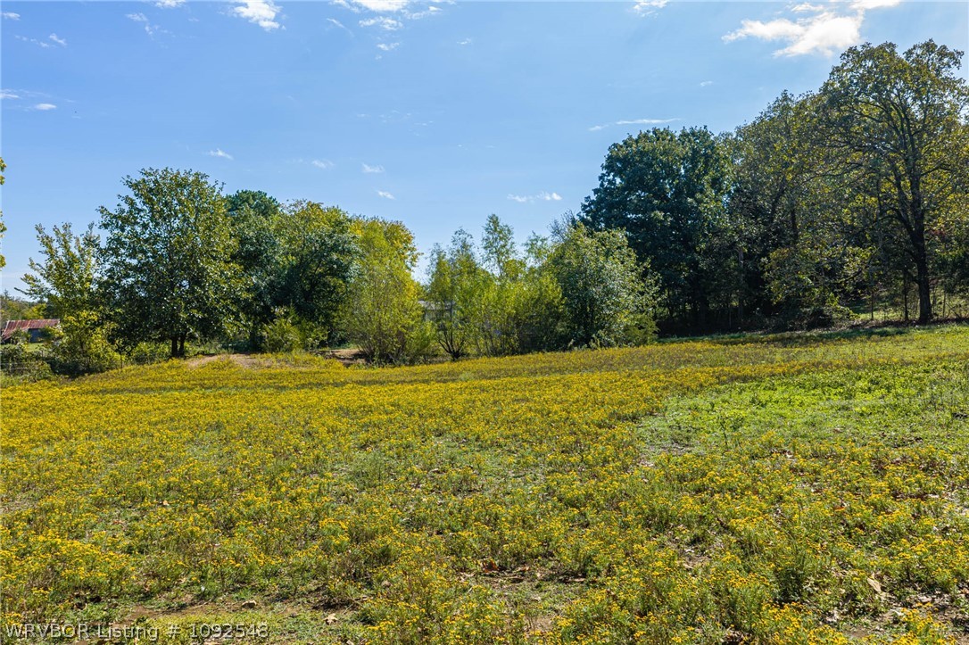 main property photo 52
