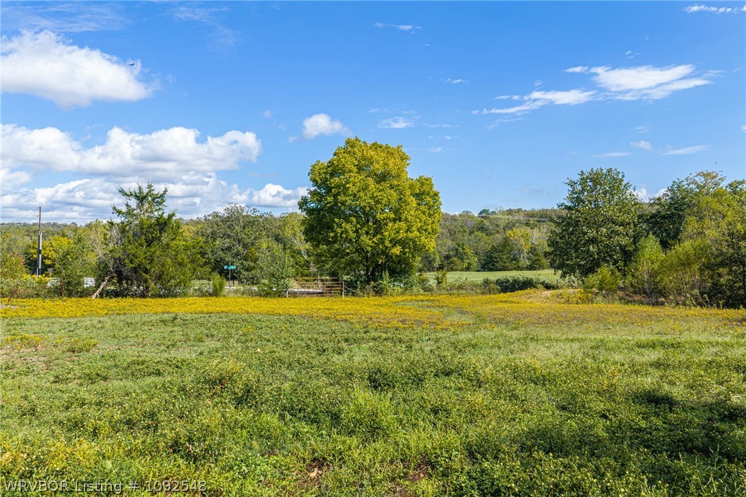 main property photo 56