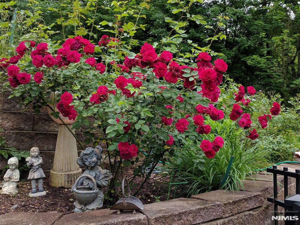 property viewer photo 5
