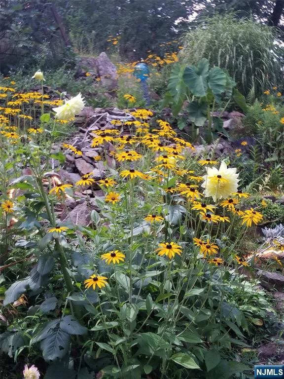 property viewer photo 19