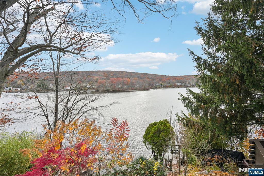 property viewer photo 42