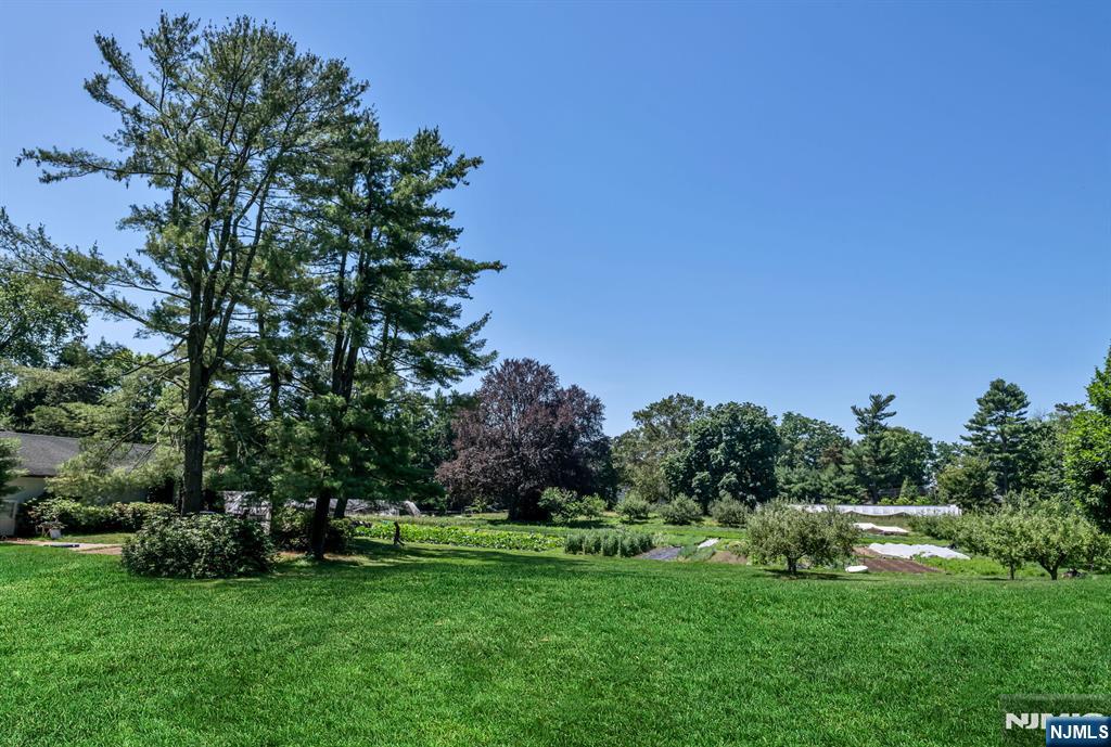 property viewer photo 34