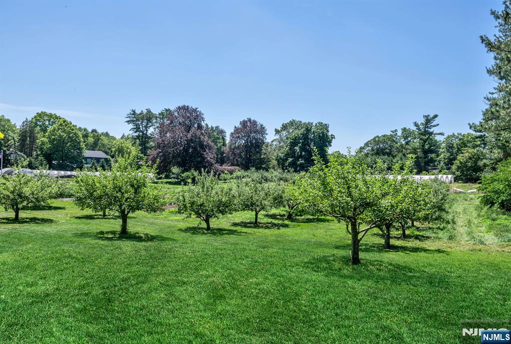 property viewer photo 36