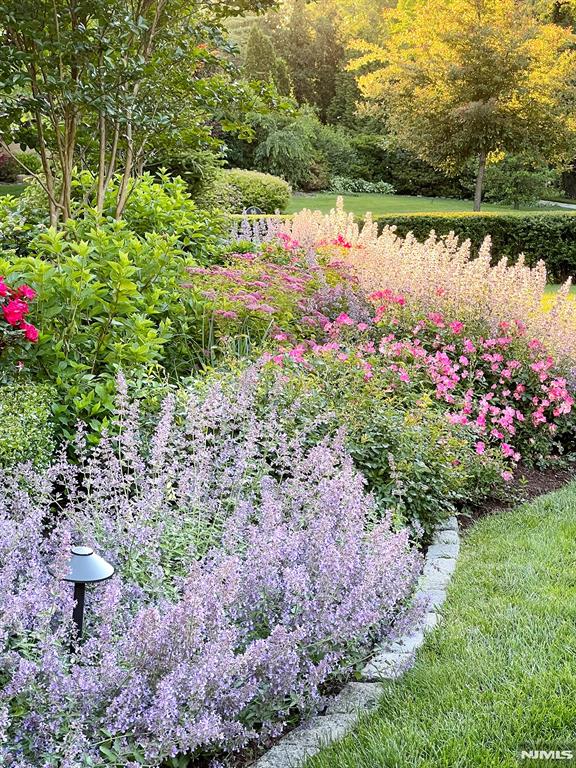 property viewer photo 46