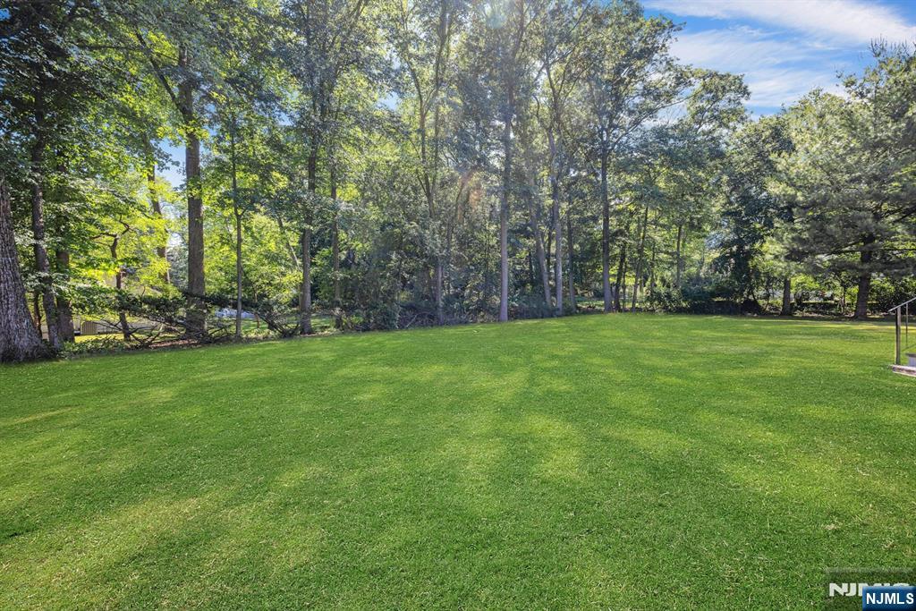 property viewer photo 46