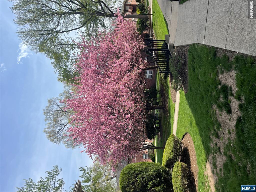 property viewer photo 28