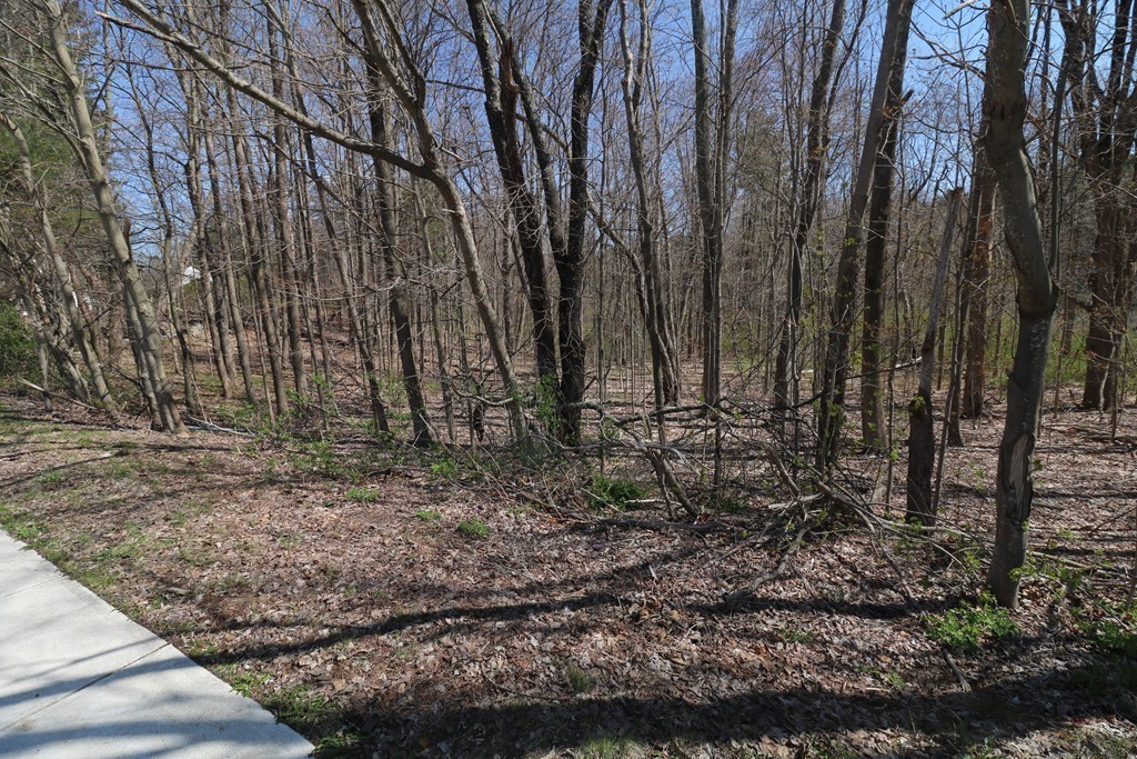 main property photo 14