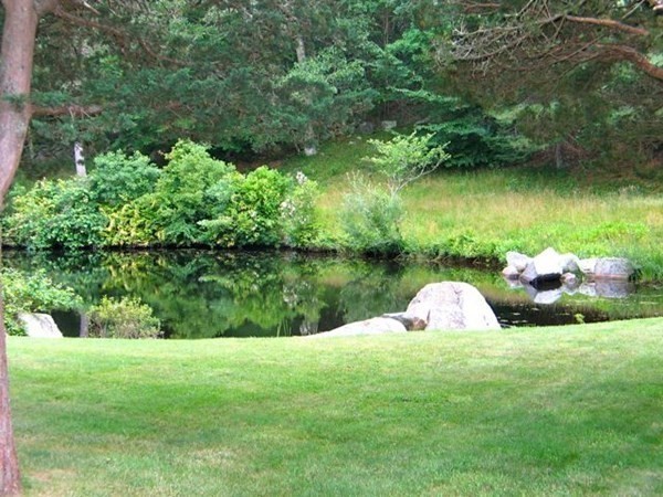 main property photo 40
