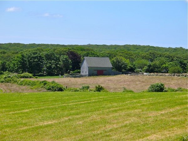 main property photo 29