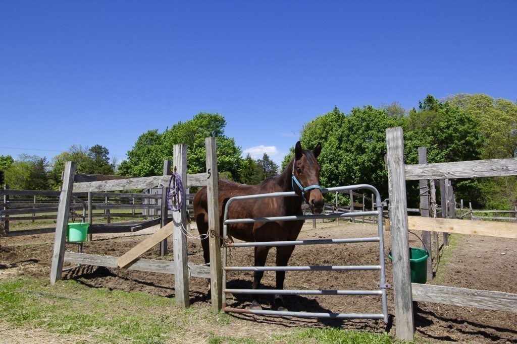 main property photo 15