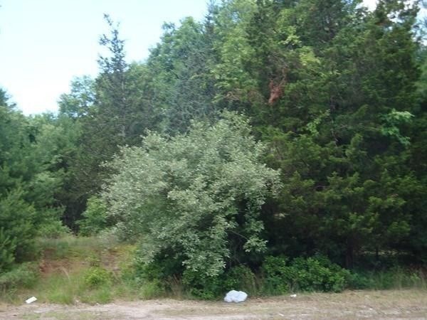 main property photo 10