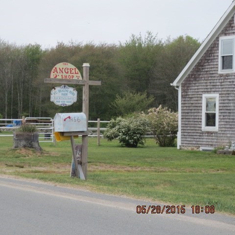 main property photo 5