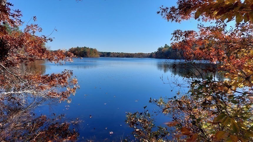 property viewer photo 31