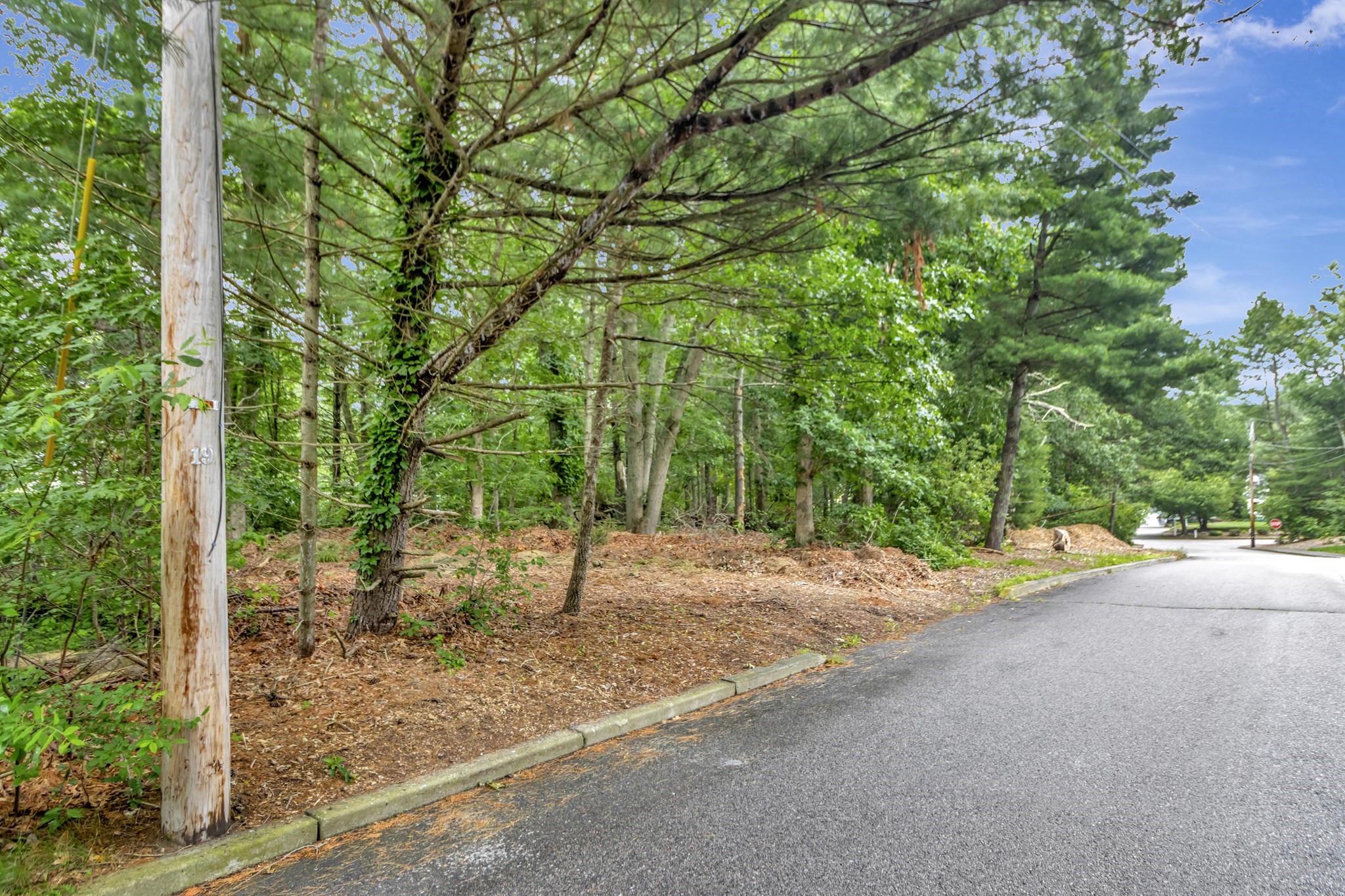 main property photo 9