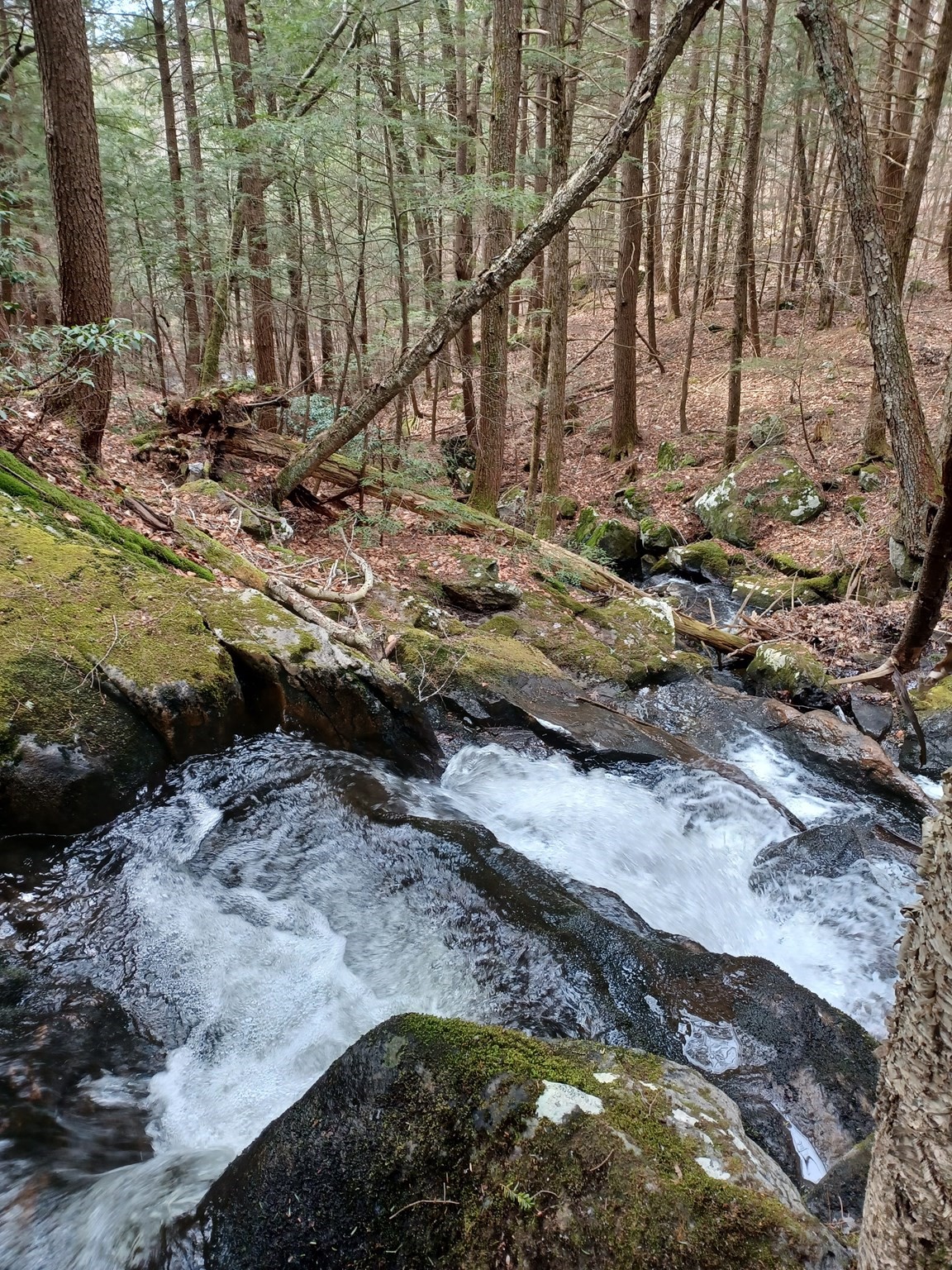 main property photo 11