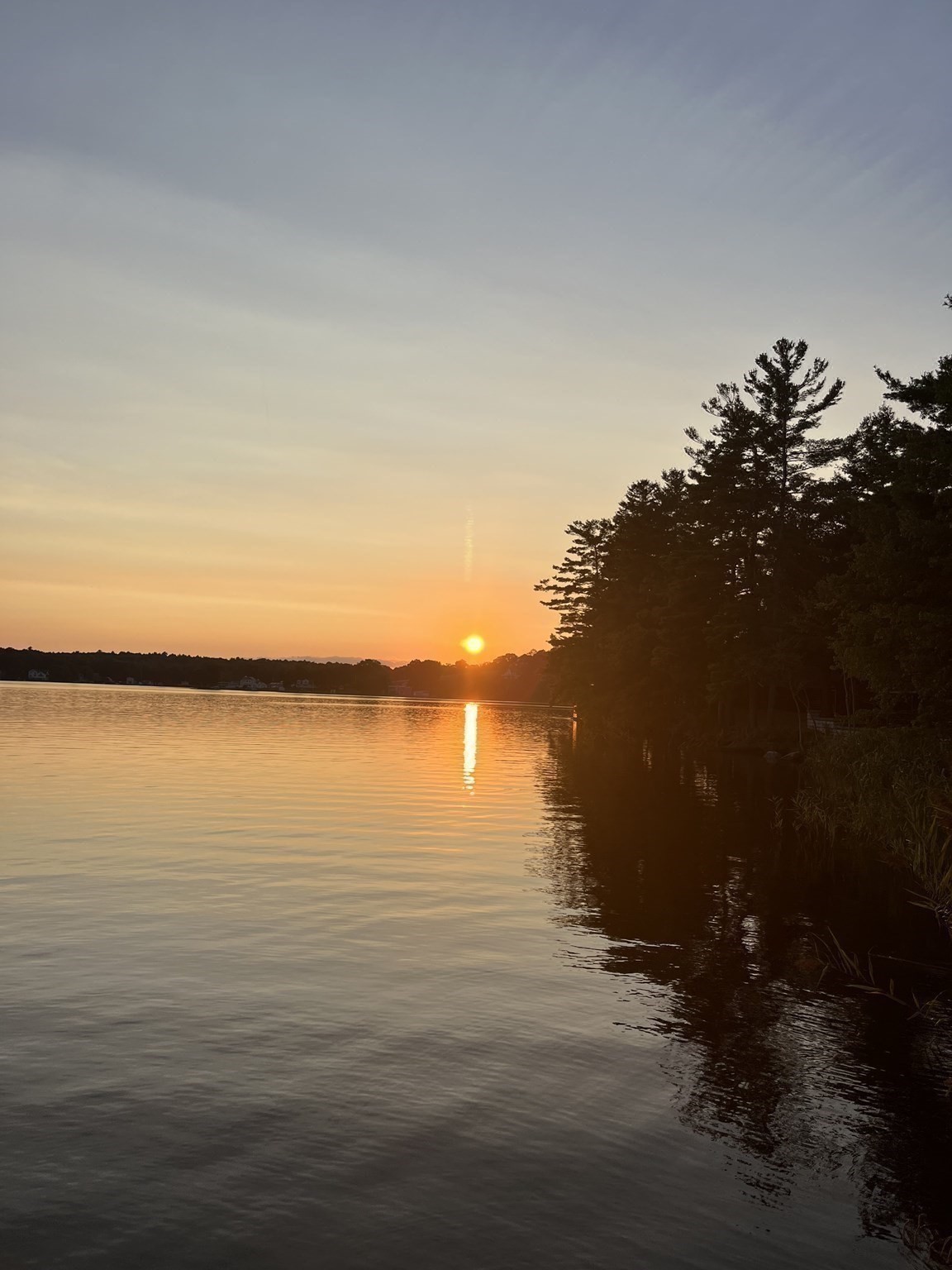 property viewer photo 7