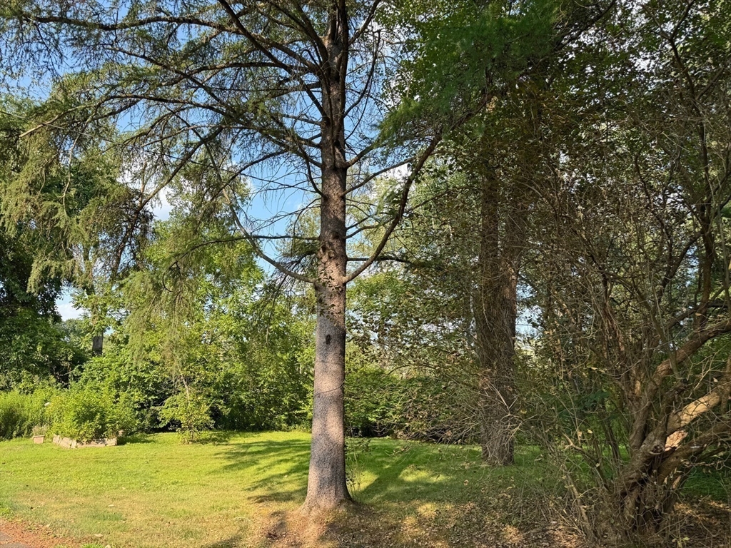 property viewer photo 34