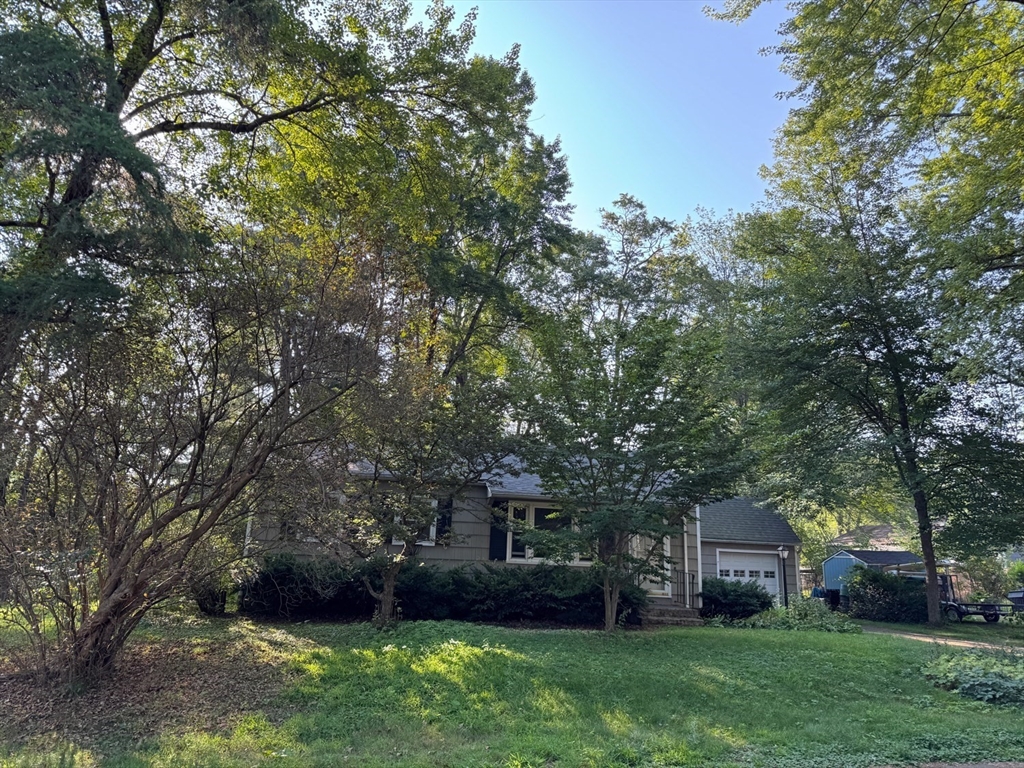 property viewer photo 39