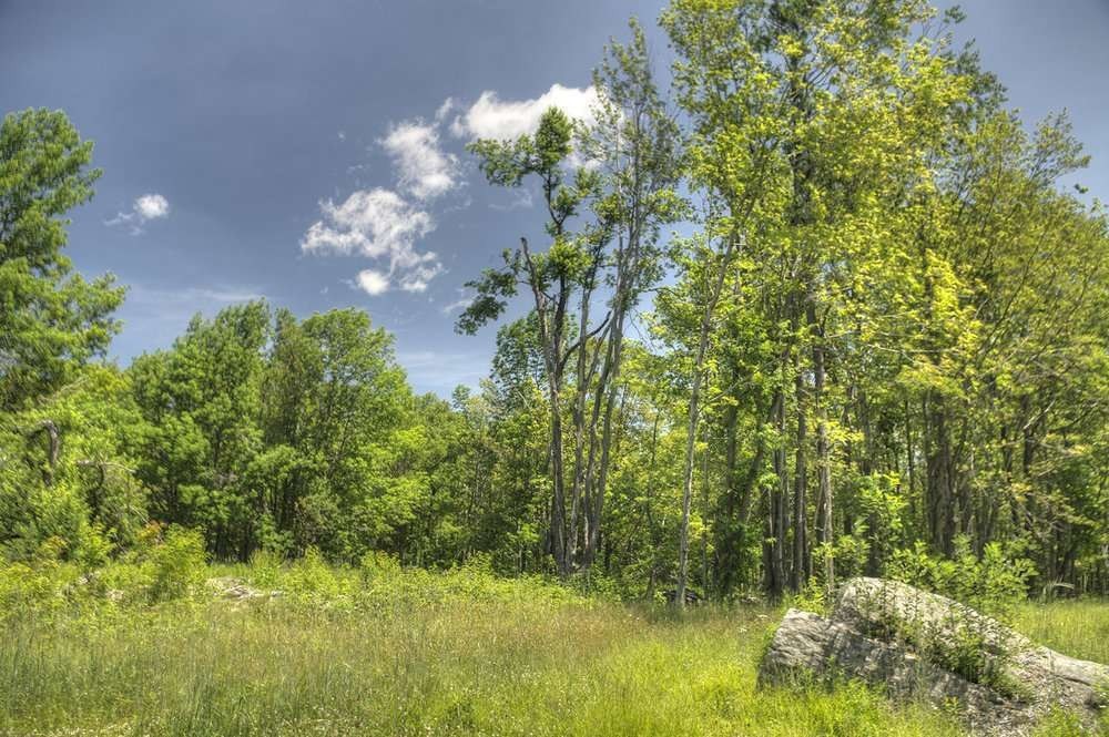 main property photo 12