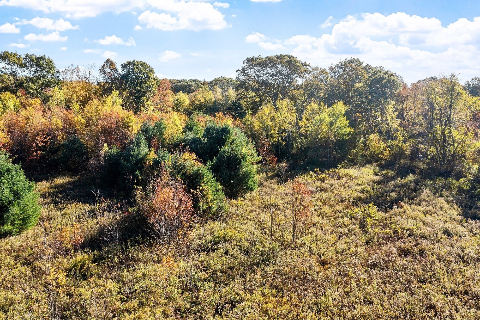 property viewer photo 8