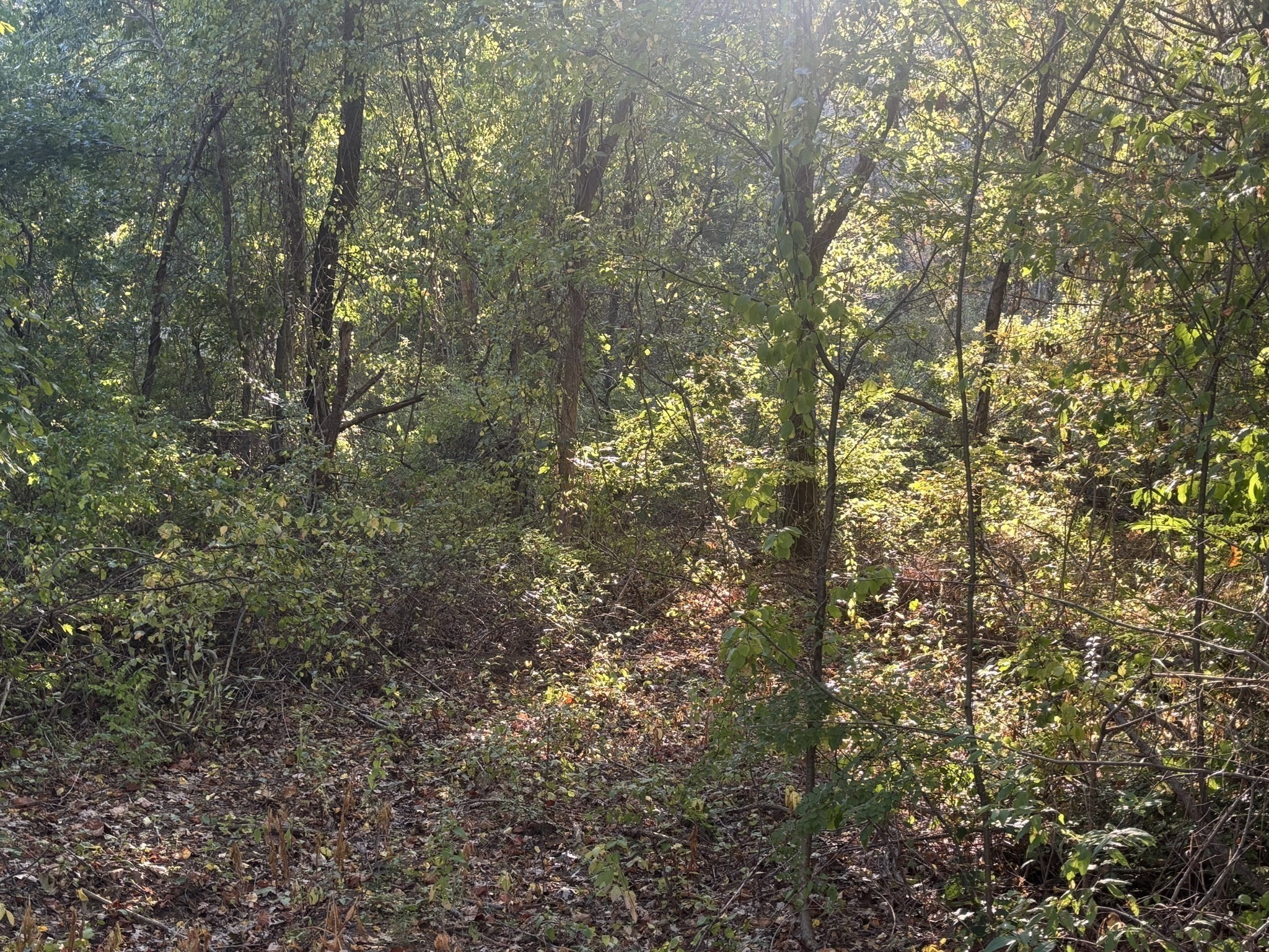 main property photo 31