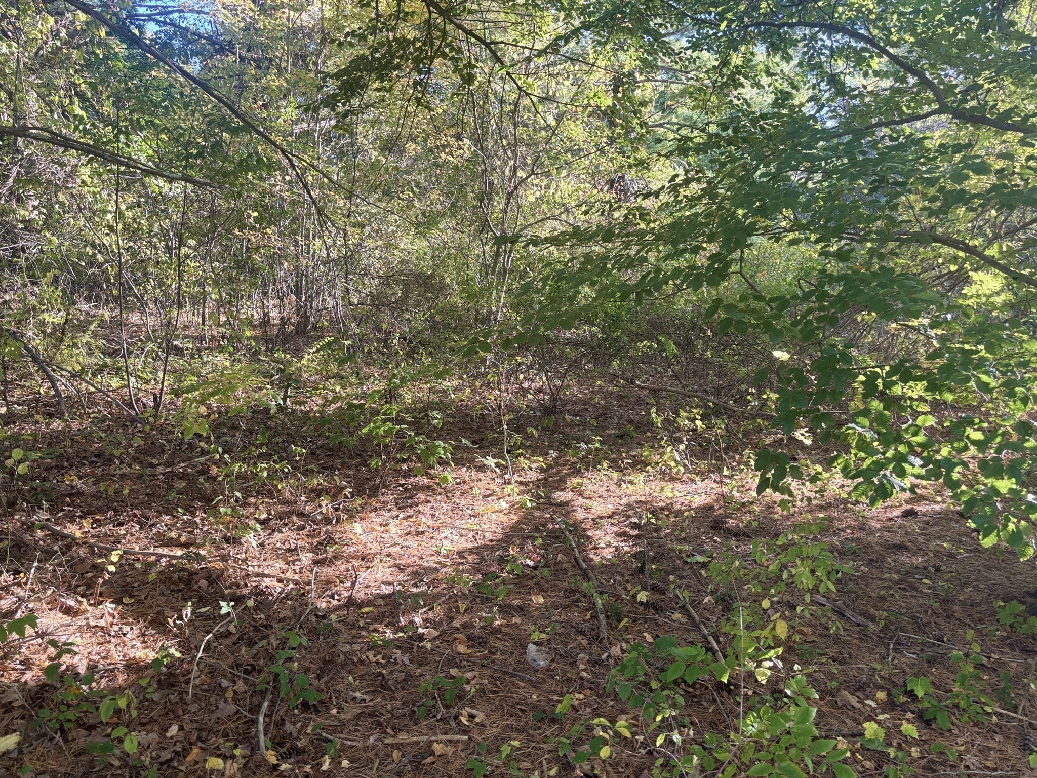 main property photo 38