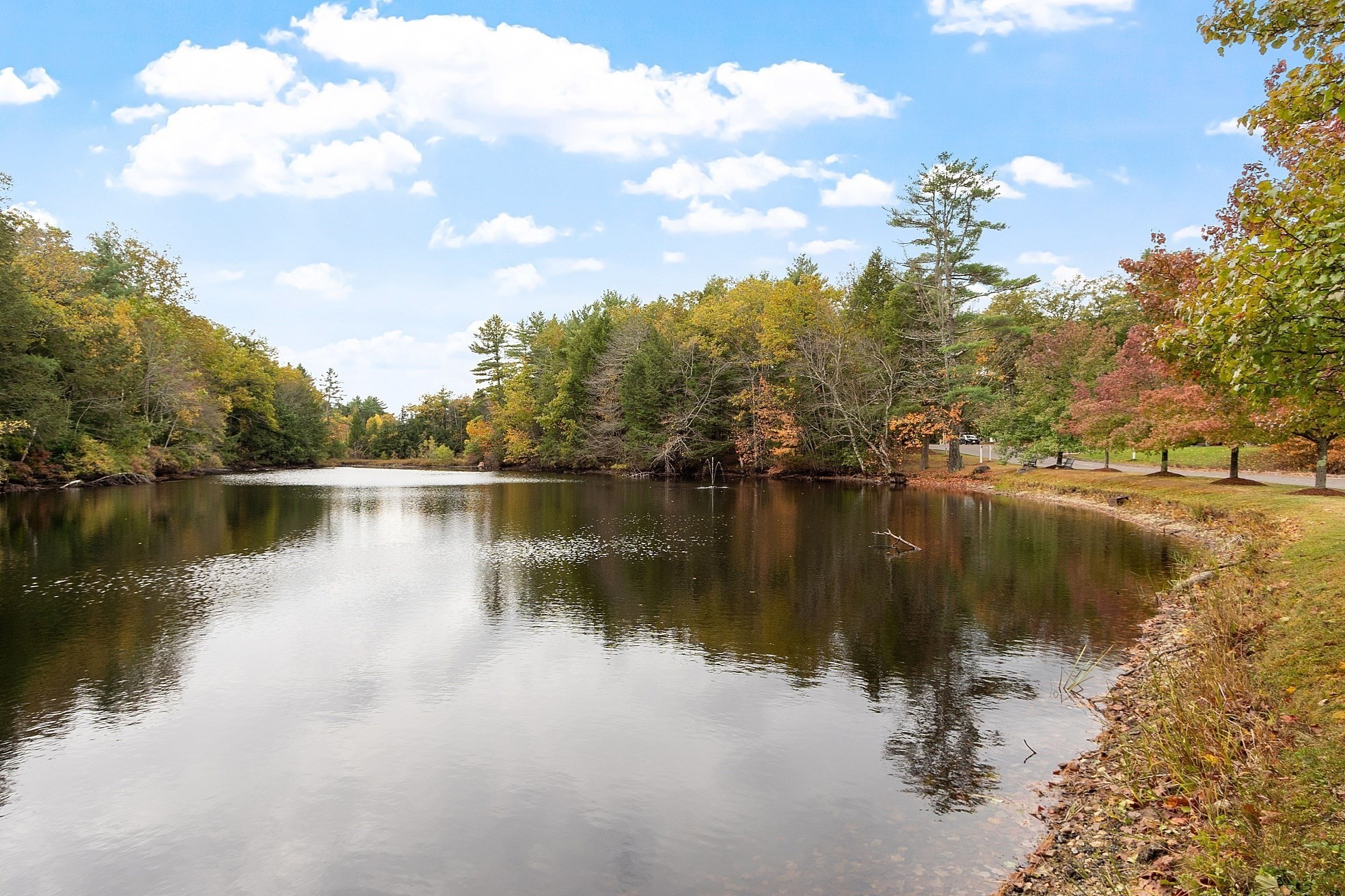 property viewer photo 41