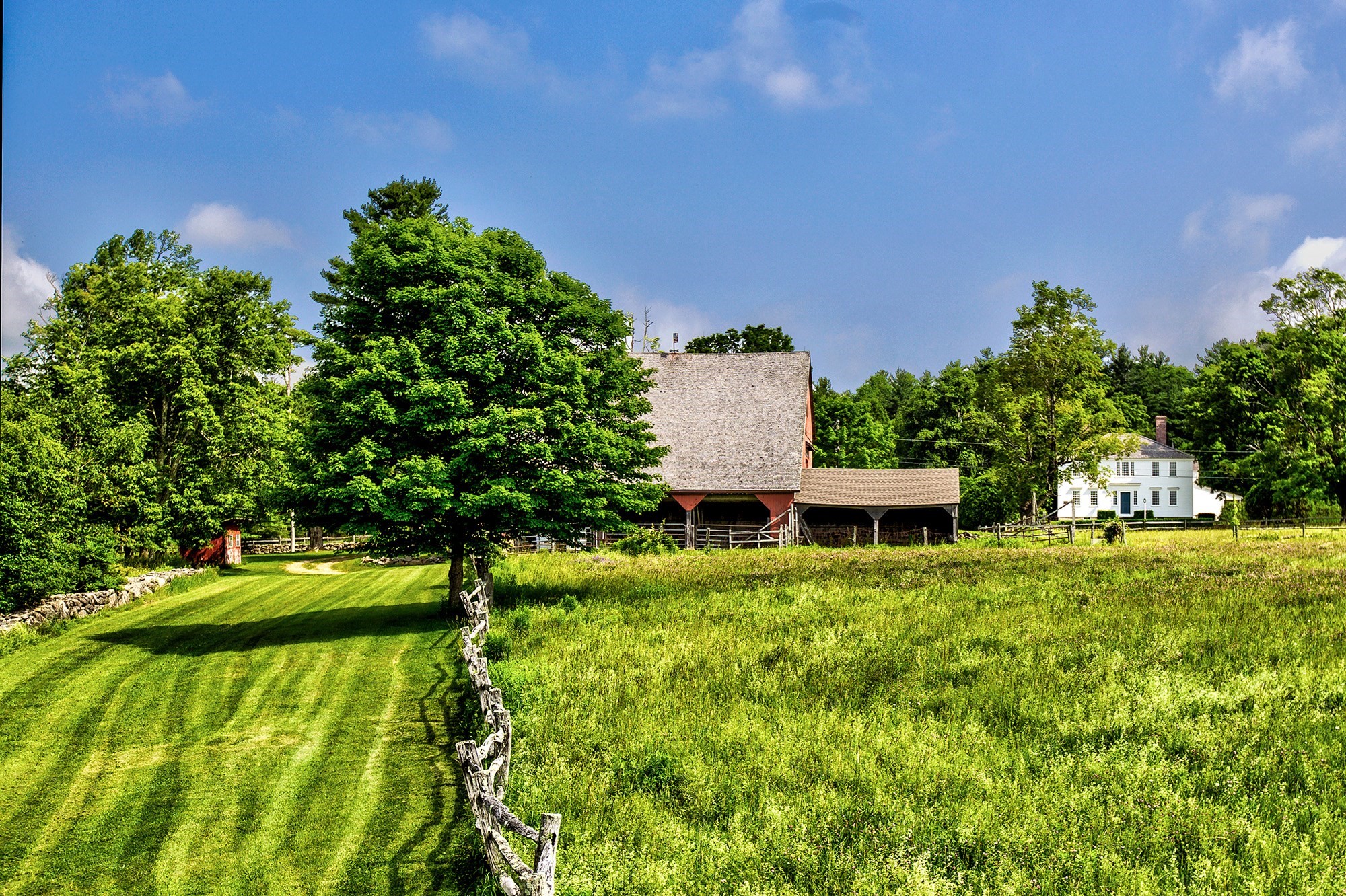 main property photo 10
