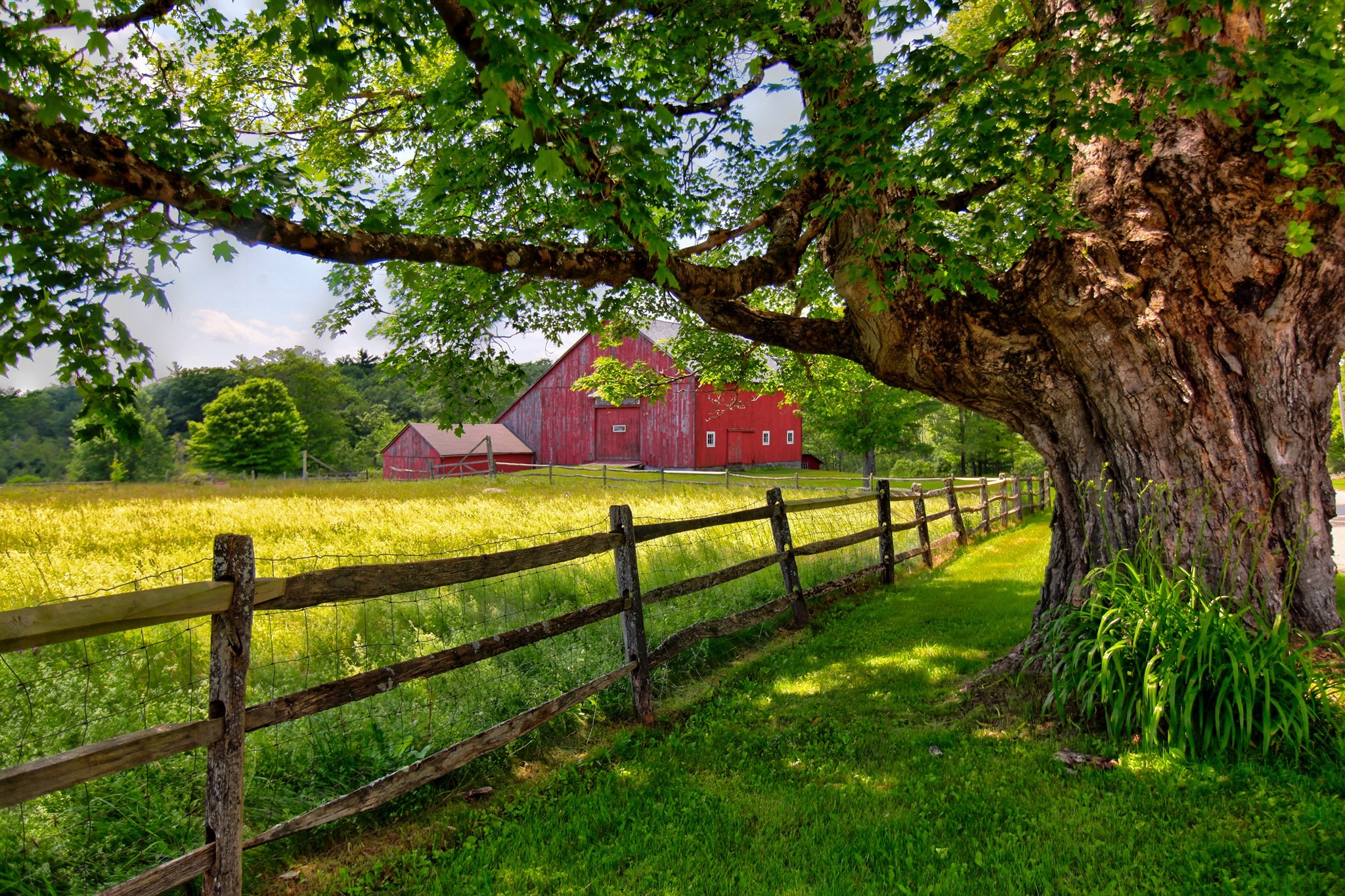 main property photo 11