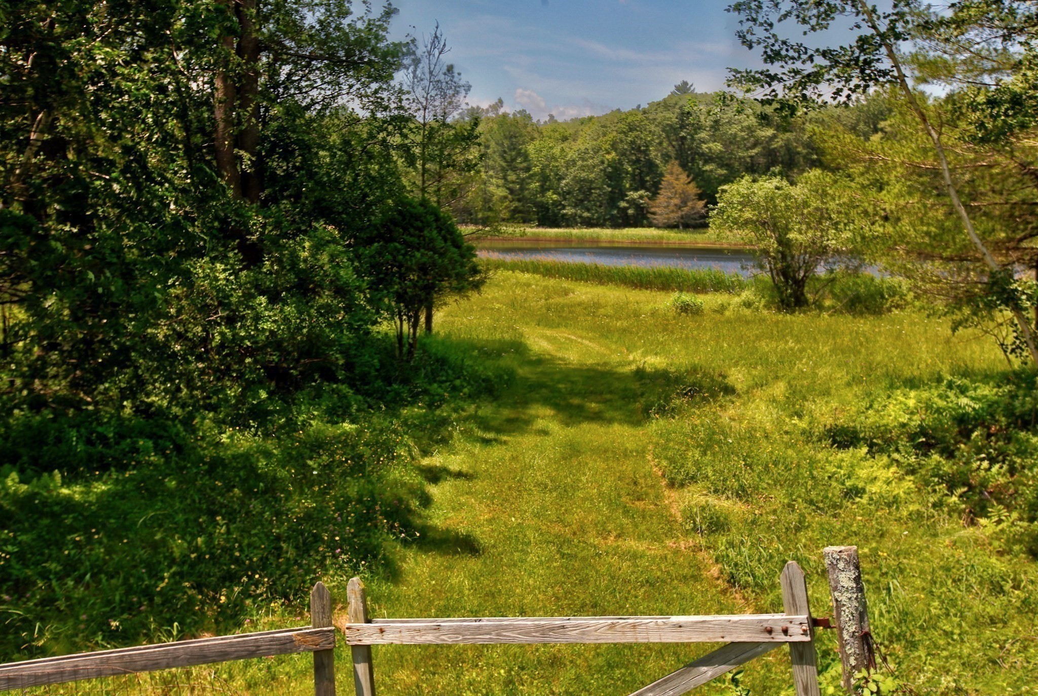 main property photo 39