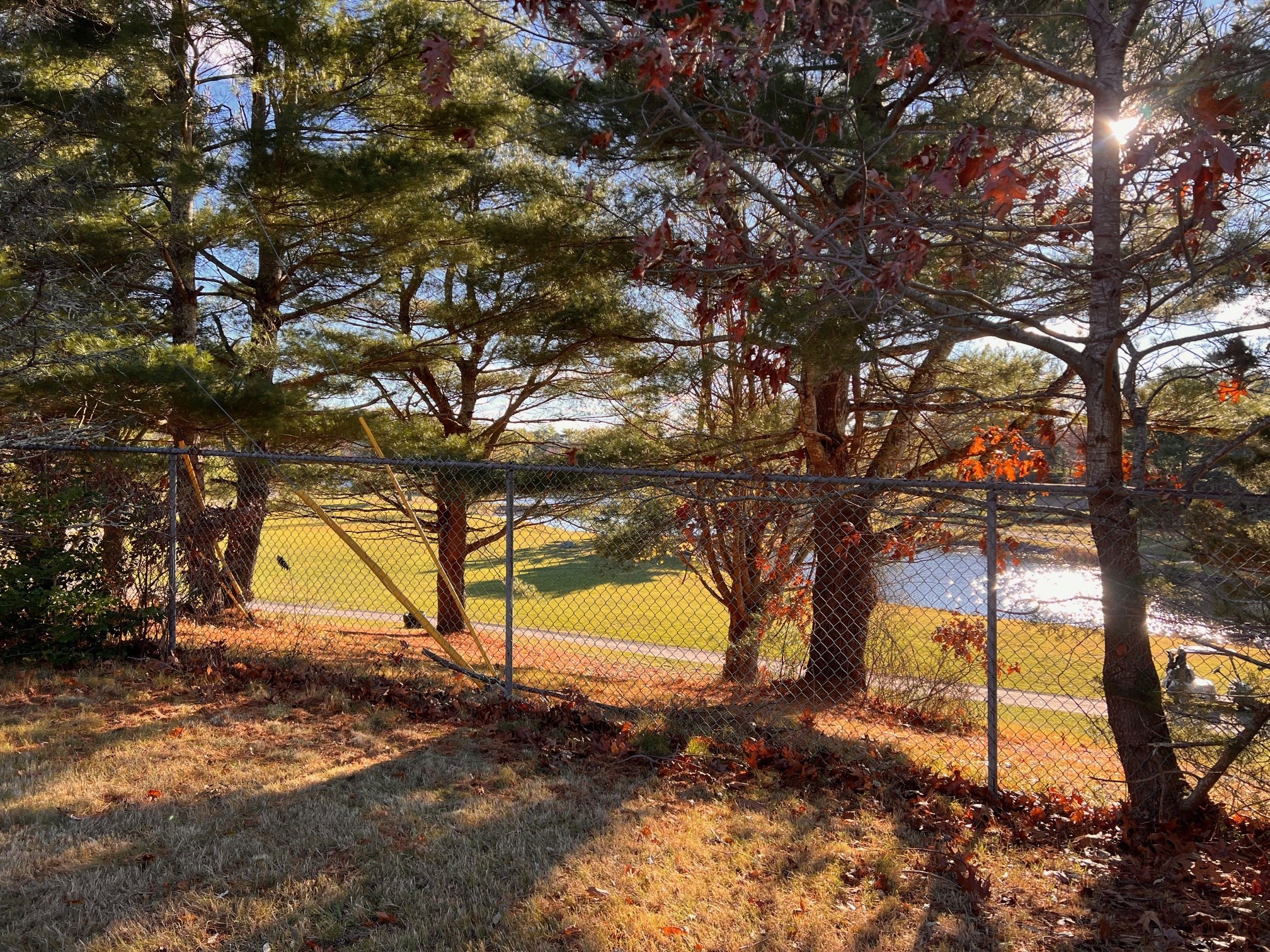 main property photo 6