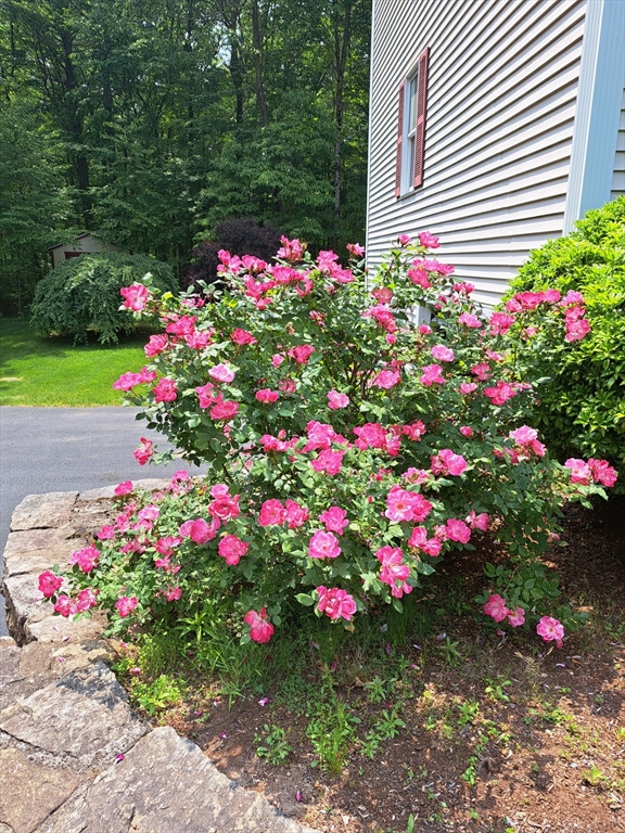 property viewer photo 40