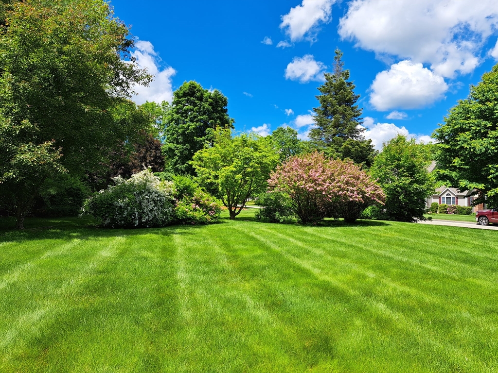 property viewer photo 41