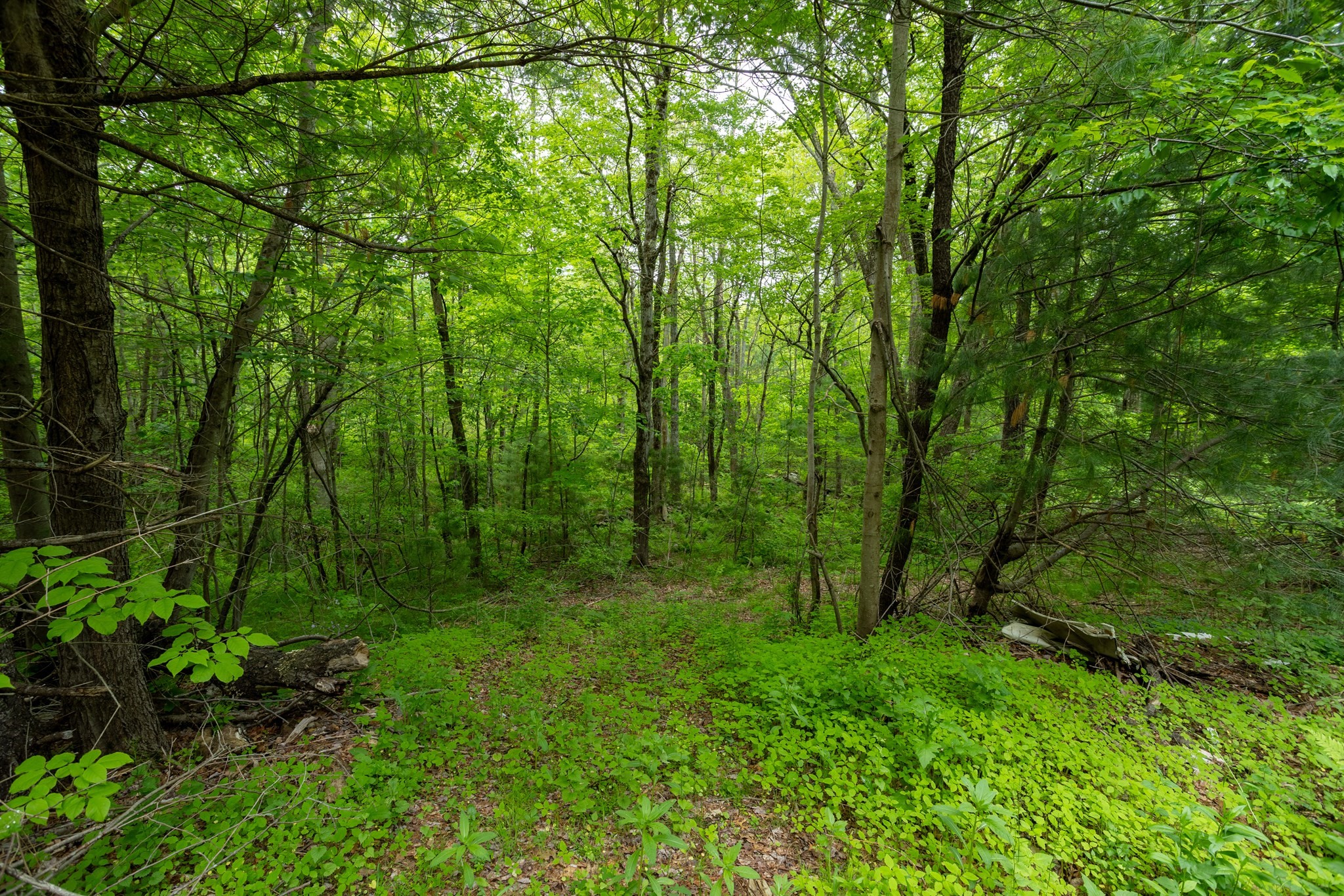 property viewer photo 11
