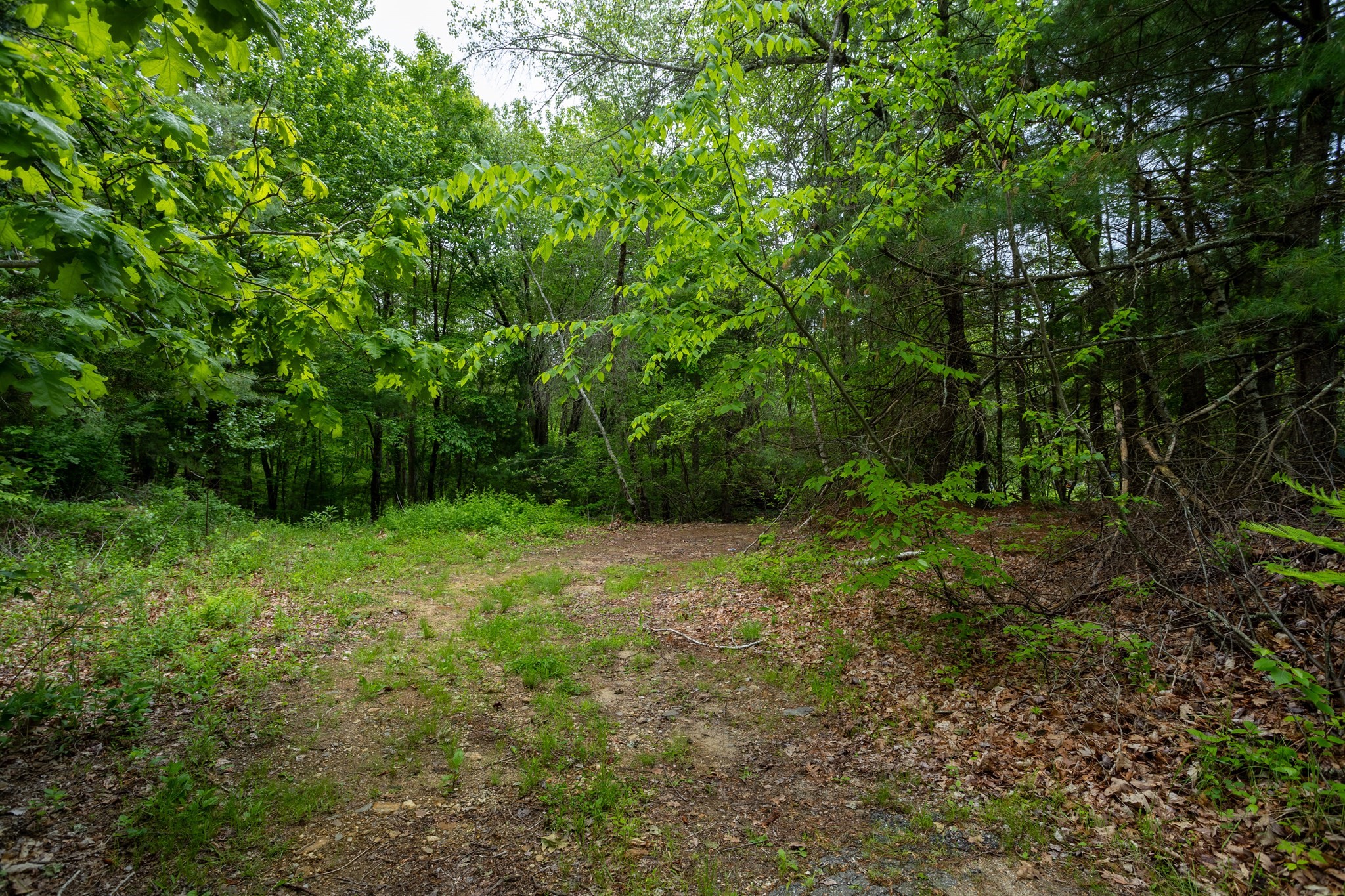property viewer photo 19
