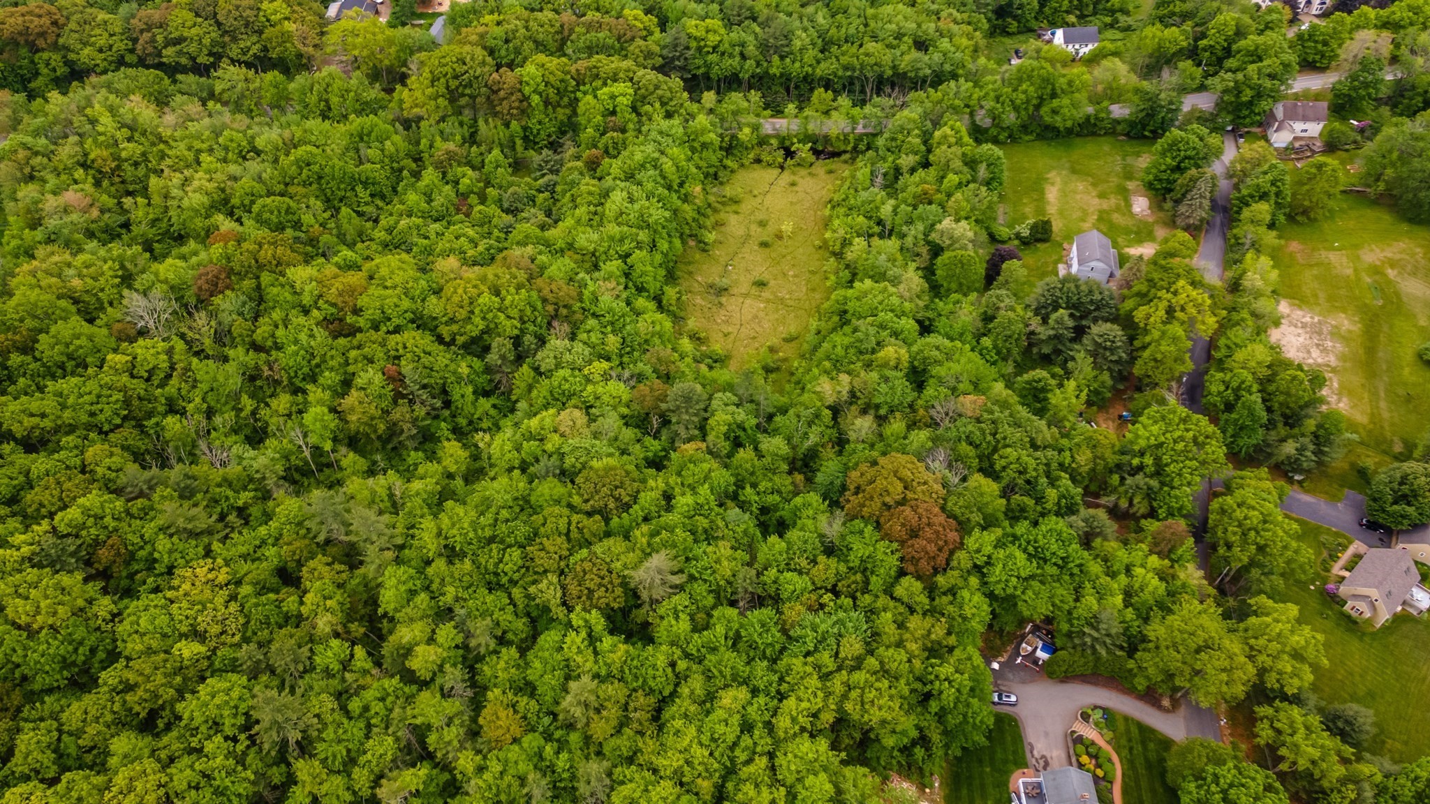 property viewer photo 3