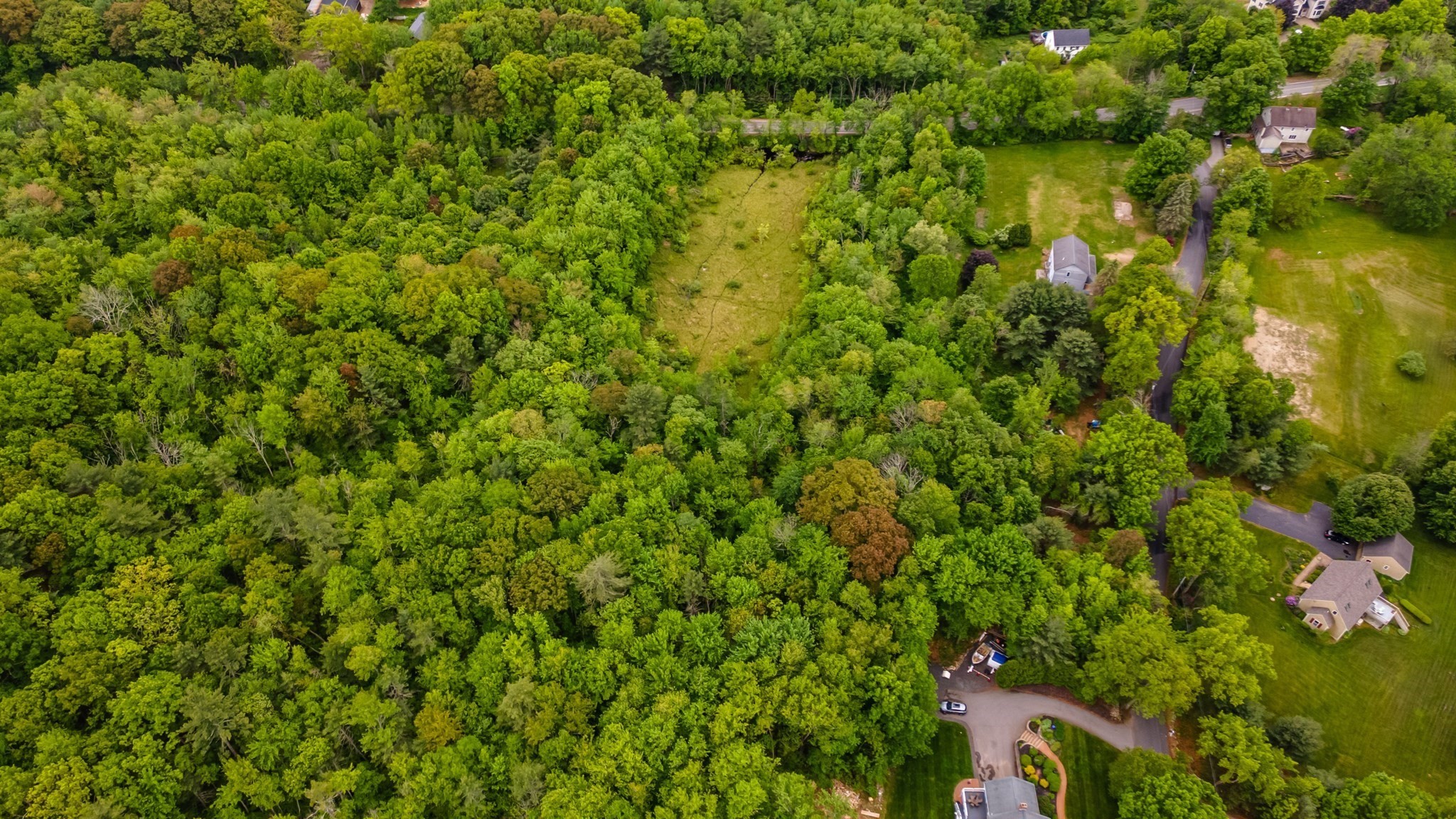 property viewer photo 4
