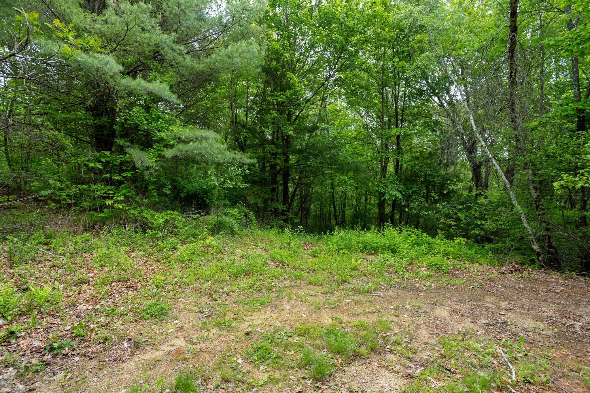 property viewer photo 7