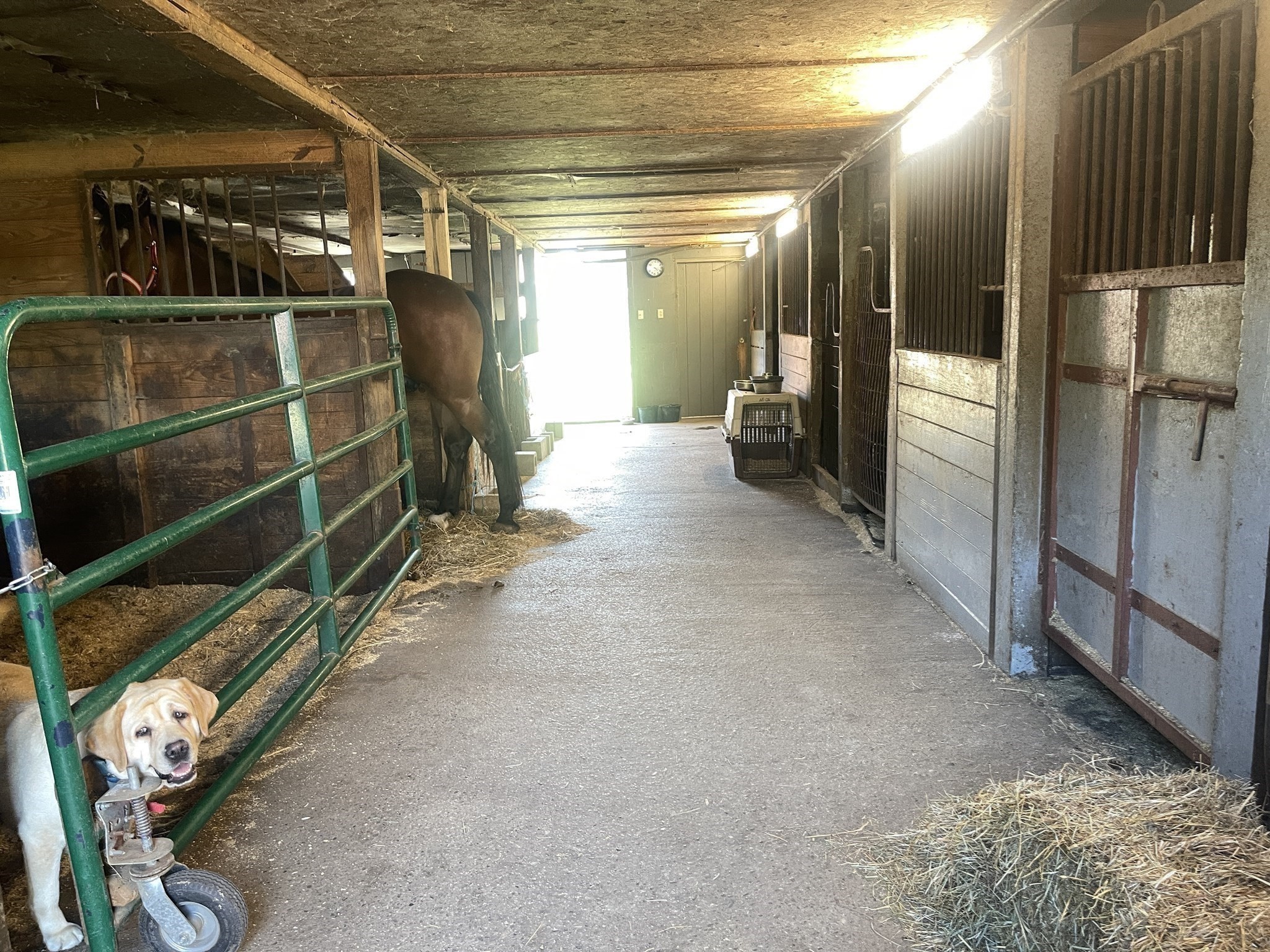 main property photo 10