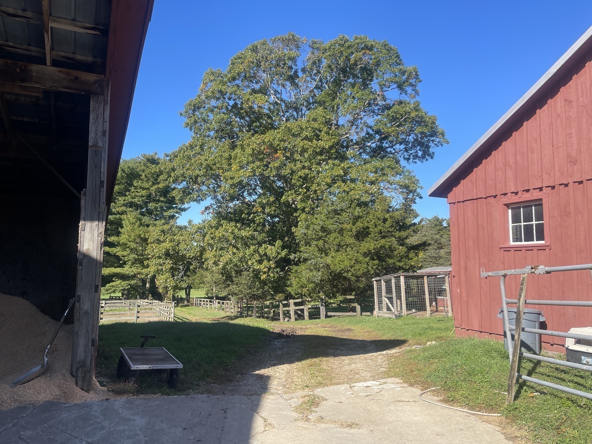 main property photo 11