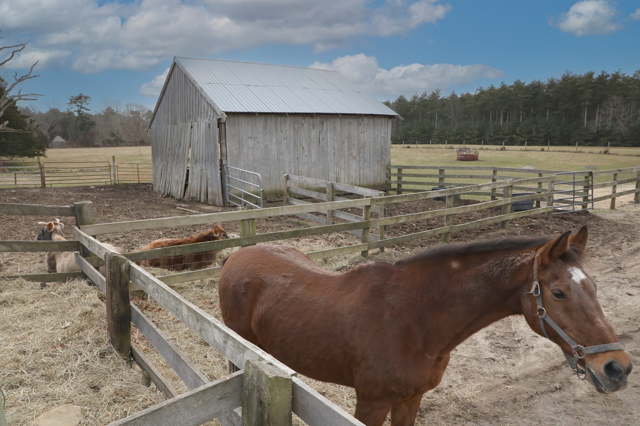 main property photo 15