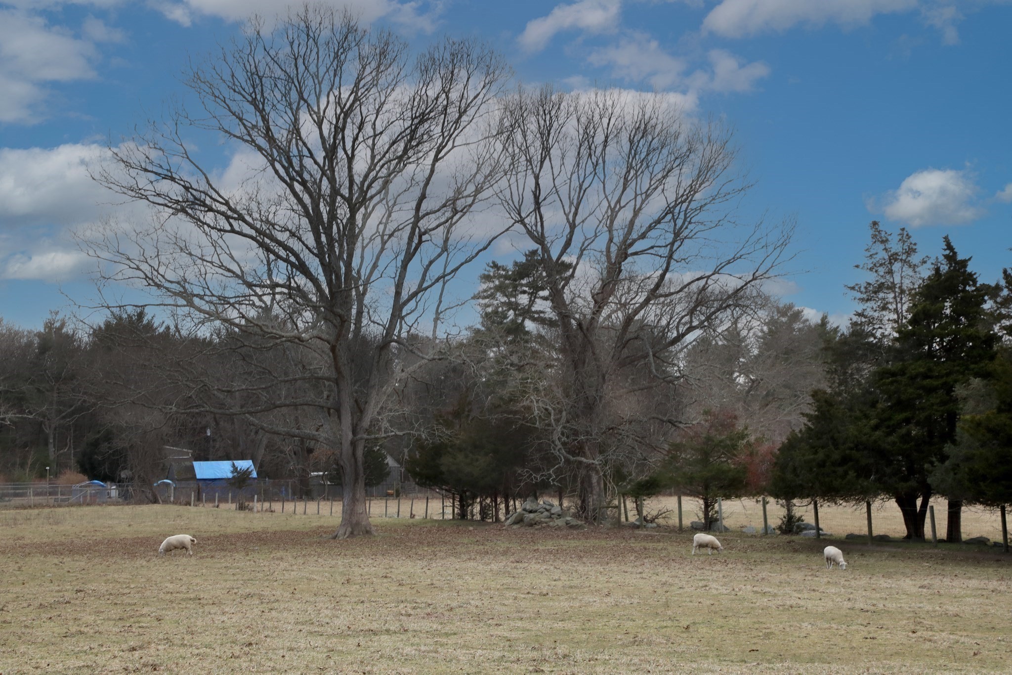 main property photo 17