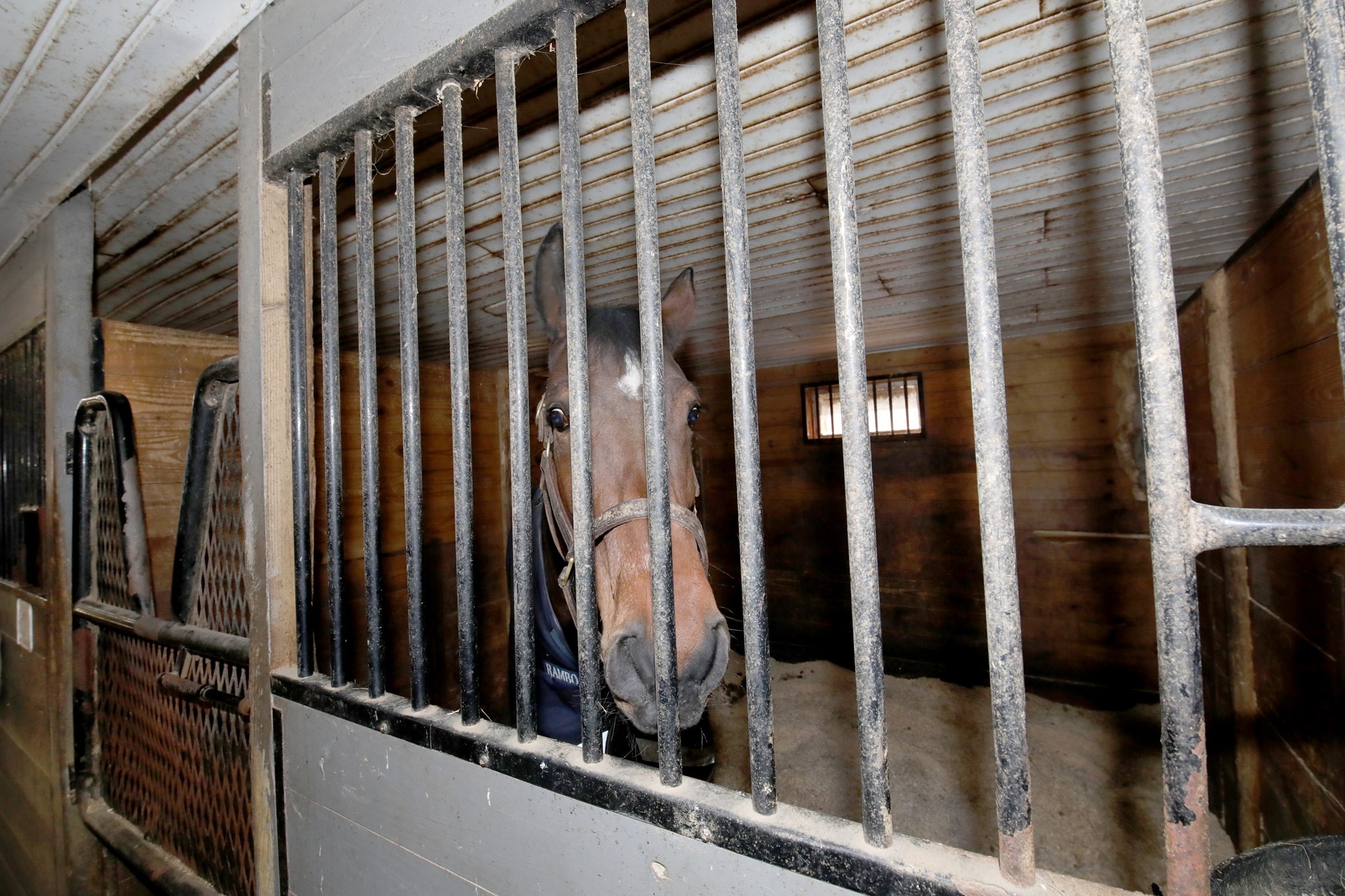 main property photo 25